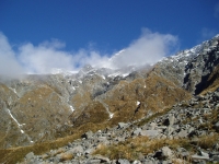 tahr-country