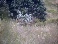 p1010160