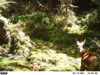 picture-029