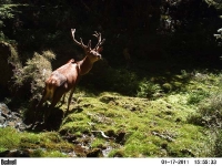picture-049