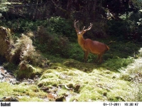 picture-051