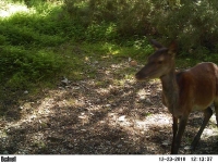 picture-084