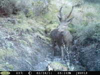 picture-322