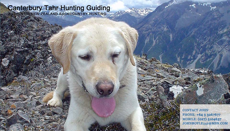 New Zealand Hunting Guide