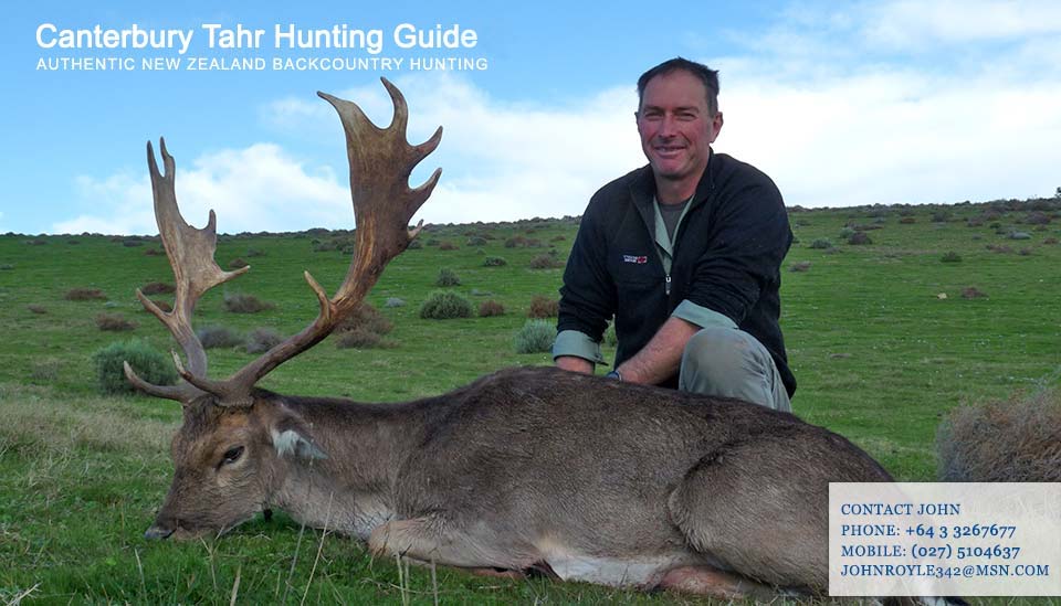 New zealand fallow deer hunting