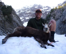 chamois2