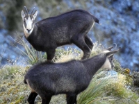 18157808_10211890407605852_5112120312079470794_n