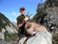 chamois