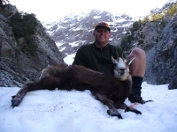 chamois2