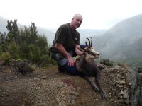 chamois5