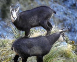 18157808_10211890407605852_5112120312079470794_n