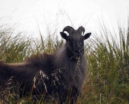 18192465_10210861404744111_7824931404742442689_o