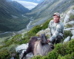 tahr9