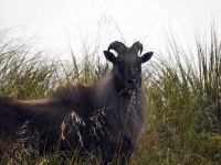 18192465_10210861404744111_7824931404742442689_o