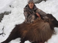 IMG_20180620_165747_594