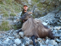 tahr6