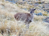 thumbnail_20190529_0932101