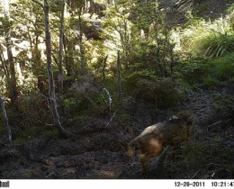 M2E33L101-101R390B311