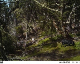 M2E80L226-225R378B324