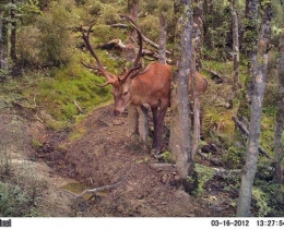 M2E37L121-121R399B307