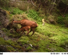 M2E35L113-112R390B311