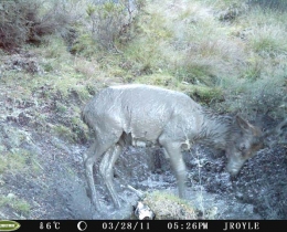 D65IR_V075.D00033.064__FG=2876,FT=91934,NIR=1,GM=41,  EV=51,PY=31,DY=74,GB=0x80,SG=0x17,EL=1706,AEY=86,AEM=1,AEW=640,AEH=480