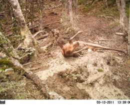 M2E38L123-123R399B307