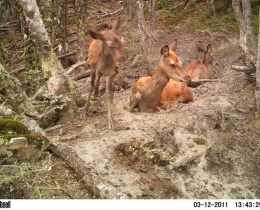 M2E33L104-103R390B311