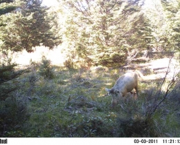 M2E39L134-135R395B312