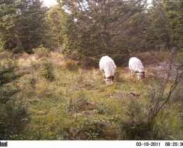 M2E40L139-139R399B310