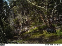 M2E80L226-225R378B324