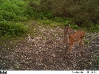 picture-345